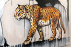 "Wild wild feminin"